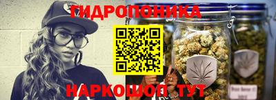 a pvp Малгобек