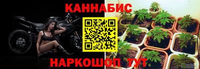 a pvp Малгобек